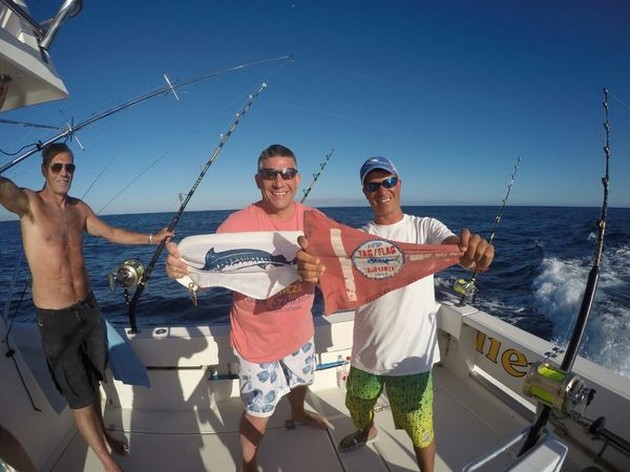 Congratulations - Andy Zanusso from the UK released today the 3rd Blue Marlin of this season. Cavalier & Blue Marlin Sport Fishing Gran Canaria