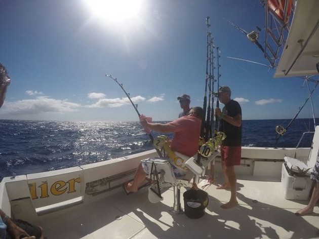 Hooked Up Cavalier & Blue Marlin Sport Fishing Gran Canaria