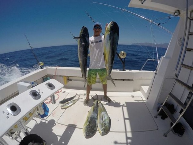 Dorado's Cavalier & Blue Marlin Sport Fishing Gran Canaria
