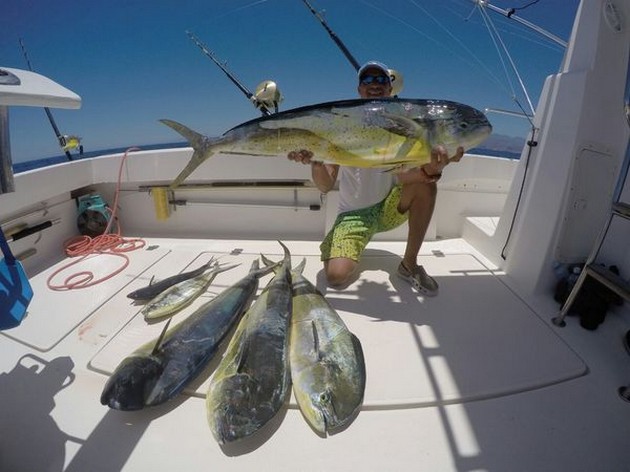 Dorado's - Hafid shows a nice catch of Dorado's Cavalier & Blue Marlin Sport Fishing Gran Canaria