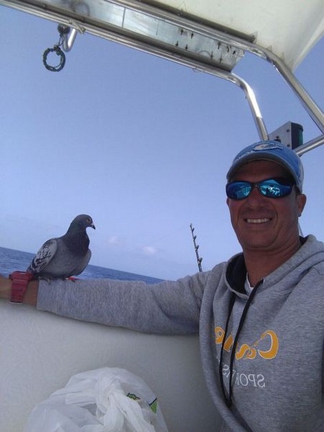 Verstekeling aan boord van de Cavalier Cavalier & Blue Marlin Sport Fishing Gran Canaria