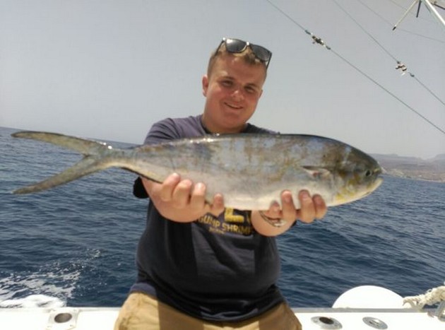 Dorado Cavalier & Blue Marlin Sport Fishing Gran Canaria