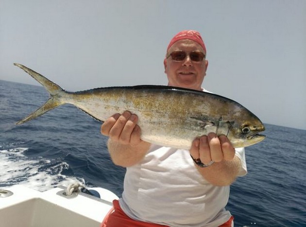 Dorado Cavalier & Blue Marlin Sport Fishing Gran Canaria