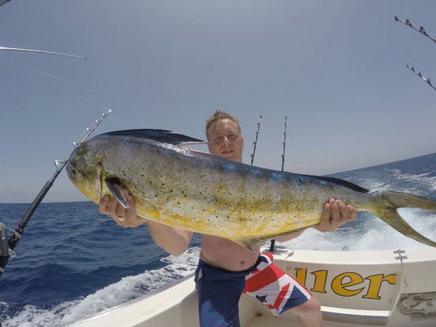 Dorado caught by Daniel Todd fro the United Kingdom Cavalier & Blue Marlin Sport Fishing Gran Canaria