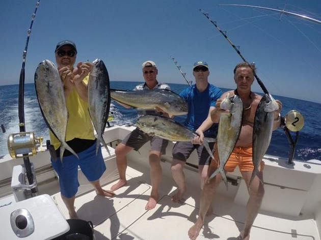 Dorado Explosie op de boot Cavalier Cavalier & Blue Marlin Sport Fishing Gran Canaria