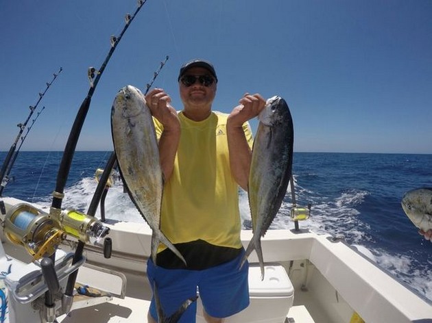 Dorado's - Well done Dan Lonning from Bergen, Norway Cavalier & Blue Marlin Sport Fishing Gran Canaria