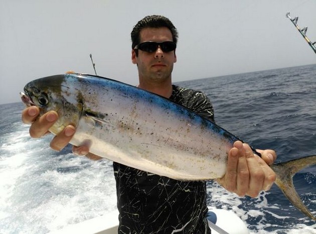 Det kan inte vara varje dag en `Dia de Fiësta` Cavalier & Blue Marlin Sport Fishing Gran Canaria