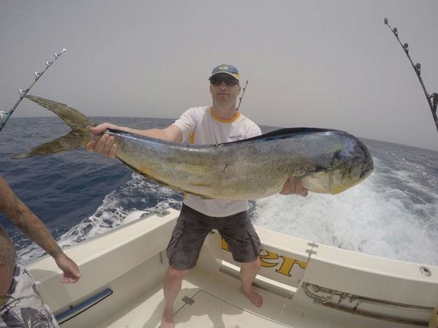 Dorado - Jos van Loo uit Holland Cavalier & Blue Marlin Sport Fishing Gran Canaria