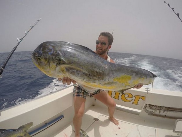 Dorado - Stefan from Germany on the boat Cavalier Cavalier & Blue Marlin Sport Fishing Gran Canaria