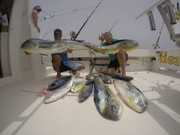 Congratulations - The crew of the boat Cavalier Cavalier & Blue Marlin Sport Fishing Gran Canaria