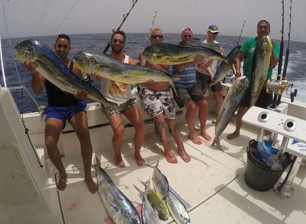125 kg Dorado - More than 125 kg Dorado Cavalier & Blue Marlin Sport Fishing Gran Canaria