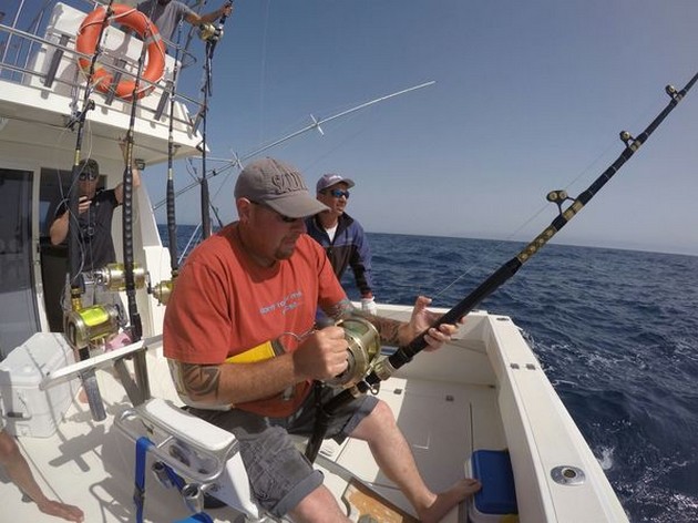 Hooked Up Cavalier & Blue Marlin Sport Fishing Gran Canaria