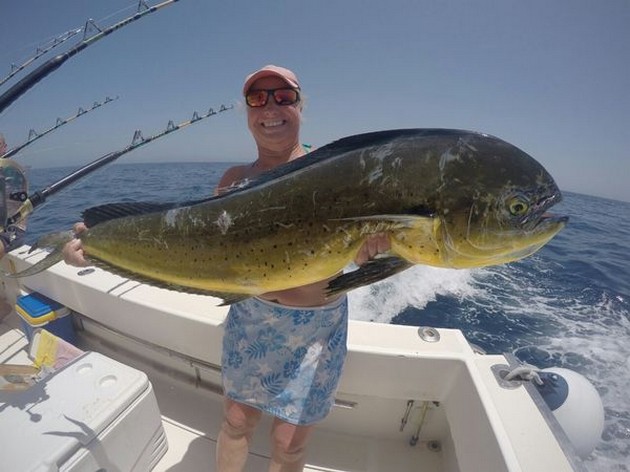 Dorado - Well done,  Anita Miller from the United Kingdom Cavalier & Blue Marlin Sport Fishing Gran Canaria