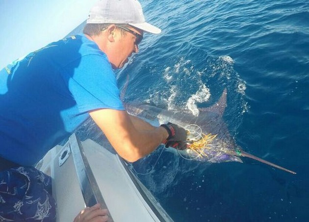 300 lbs & 600 lbs Blue Marlin released door Barry Towsend uit Engeland Cavalier & Blue Marlin Sport Fishing Gran Canaria