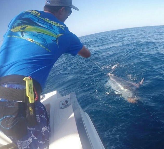 Tag & Release Cavalier & Blue Marlin Sport Fishing Gran Canaria