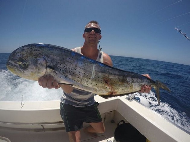 3 Dorado's Cavalier & Blue Marlin Sport Fishing Gran Canaria
