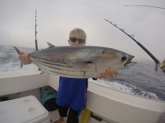 Skipjack Tuna Cavalier & Blue Marlin Sport Fishing Gran Canaria