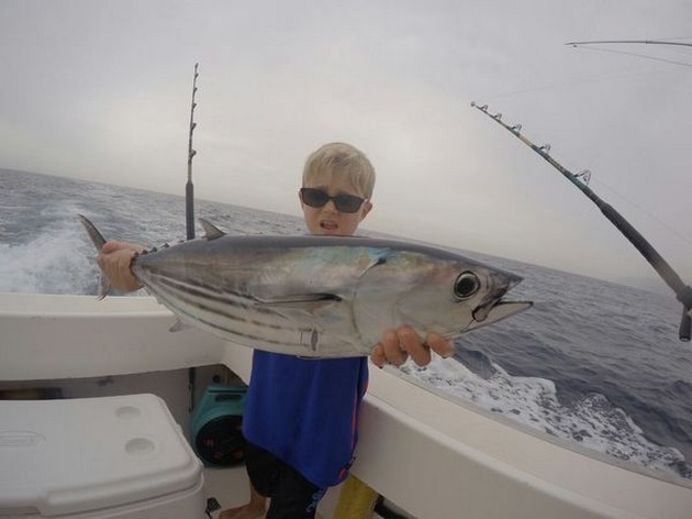 Skipjack Tuna Cavalier & Blue Marlin Sport Fishing Gran Canaria