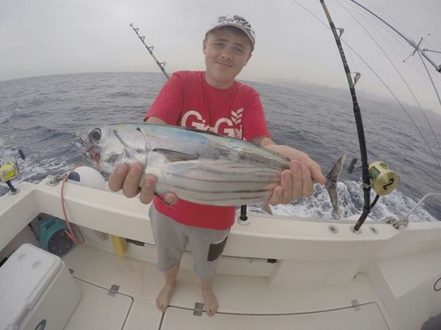 Skipjack Tuna Cavalier & Blue Marlin Sport Fishing Gran Canaria