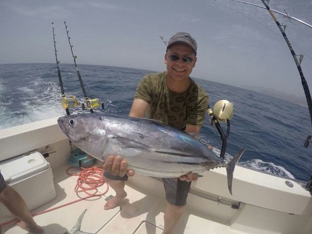 Skipjack Tuna Cavalier & Blue Marlin Sport Fishing Gran Canaria