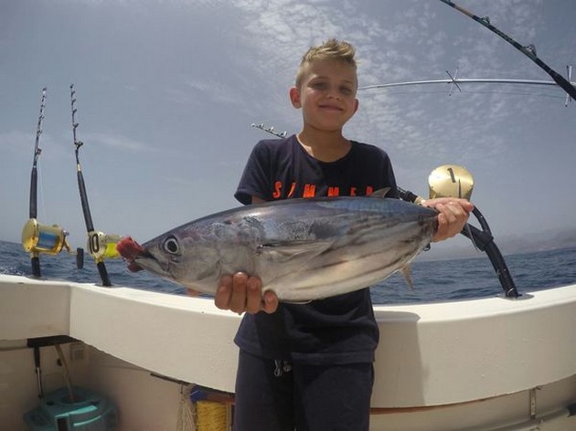 Skipjack Tuna Cavalier & Blue Marlin Sport Fishing Gran Canaria
