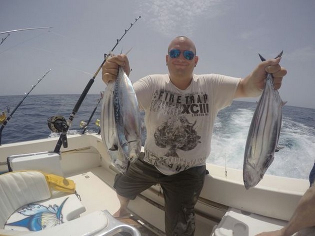 Skipjack Tuna Cavalier & Blue Marlin Sport Fishing Gran Canaria