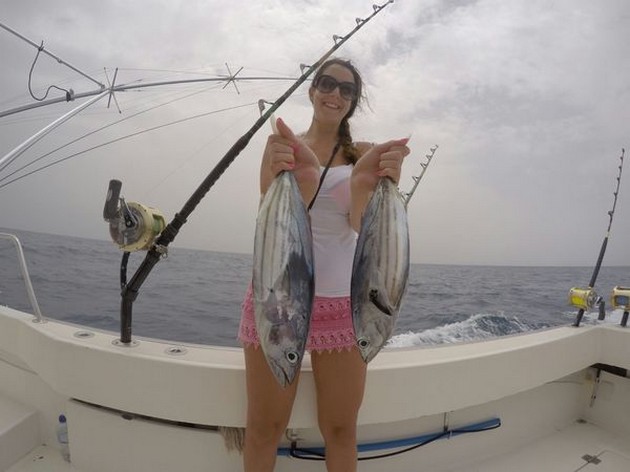 Skipjack Tuna Cavalier & Blue Marlin Sport Fishing Gran Canaria