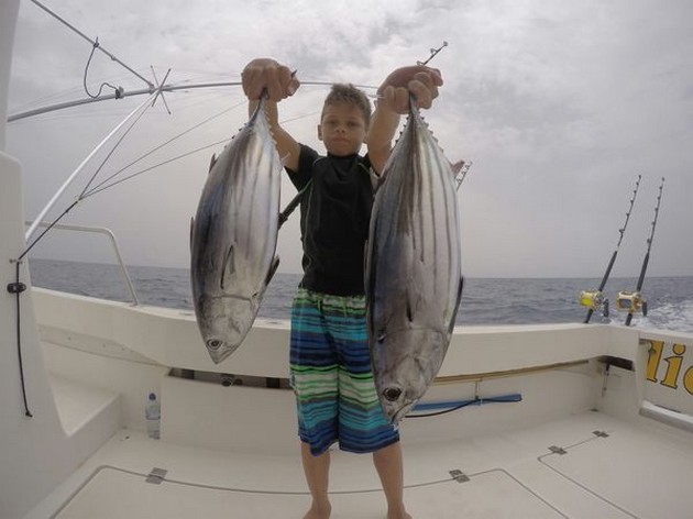 Skipjack Tuna Cavalier & Blue Marlin Sport Fishing Gran Canaria