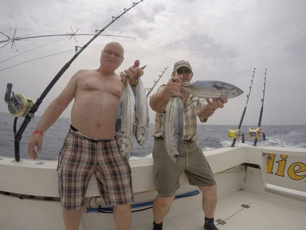 Skipjack Tuna Cavalier & Blue Marlin Sport Fishing Gran Canaria