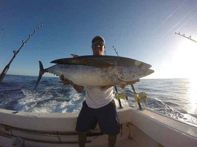 Albacore Tuna - Good sized Albacore Tuna Cavalier & Blue Marlin Sport Fishing Gran Canaria