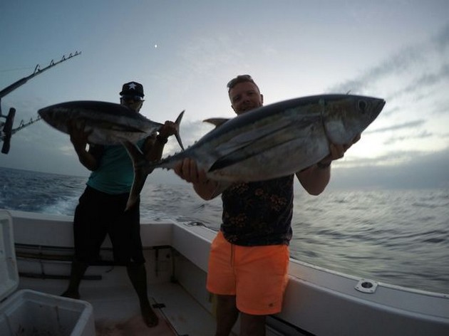 Albacores caught by Lourence Ali and Robbie Allen Cavalier & Blue Marlin Sport Fishing Gran Canaria