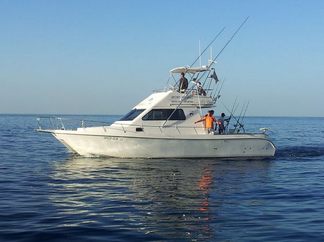 Cavalier released 240 kg Blue Marlin Cavalier & Blue Marlin Sport Fishing Gran Canaria