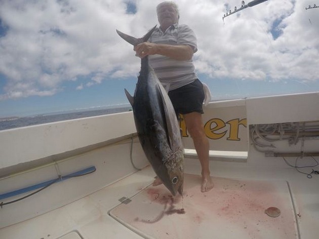 Albacore tuna caught by John Ferry from the UK Cavalier & Blue Marlin Sport Fishing Gran Canaria