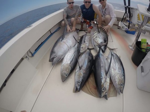 Albacores och Big Eye Tuna för Rudge-familjen Cavalier & Blue Marlin Sport Fishing Gran Canaria