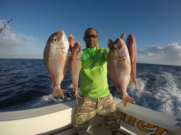 Red Snappers caught by Mike on the Cavalier Cavalier & Blue Marlin Sport Fishing Gran Canaria