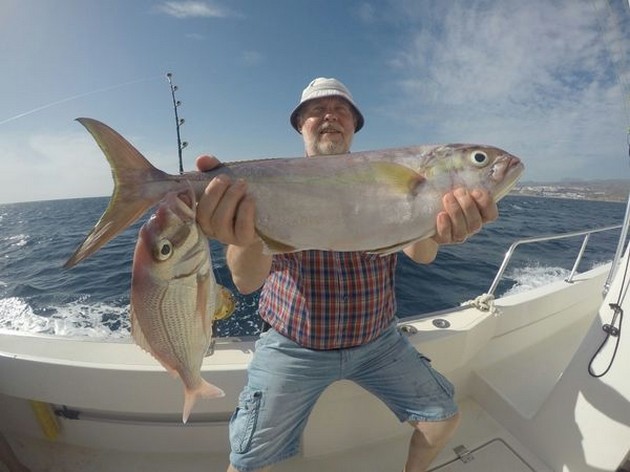 Amberjack Cavalier & Blue Marlin Sport Fishing Gran Canaria