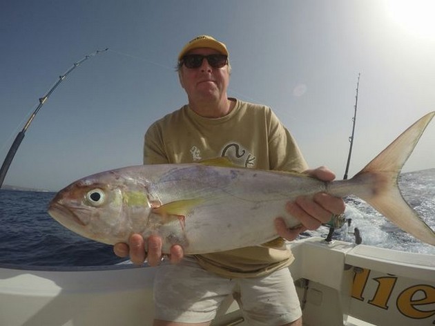 Amberjack Cavalier & Blue Marlin Sport Fishing Gran Canaria