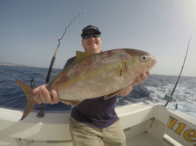 Amberjack Cavalier & Blue Marlin Sport Fishing Gran Canaria