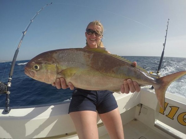 Amberjack for Martina  from Holland Cavalier & Blue Marlin Sport Fishing Gran Canaria