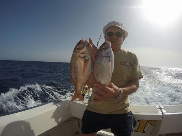 Red Snappers Cavalier & Blue Marlin Sport Fishing Gran Canaria