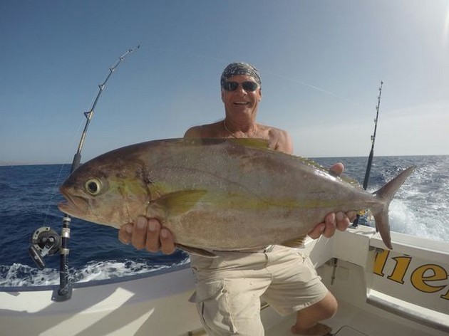 Amberjack - Big amberjack for this lucky fisherman Cavalier & Blue Marlin Sport Fishing Gran Canaria