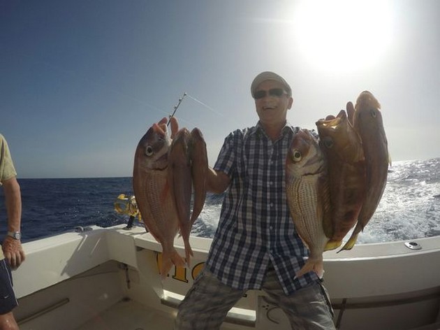 Nice catch onboard  of the boat Cavalier Cavalier & Blue Marlin Sport Fishing Gran Canaria