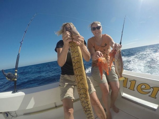 Well done ladies - Scorpion fish and Tiger Moray  caught on the boat Cavalier Cavalier & Blue Marlin Sport Fishing Gran Canaria