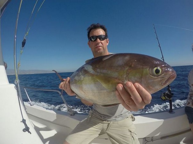 Amberjack caught by Jamie Stuart  from Scotland Cavalier & Blue Marlin Sport Fishing Gran Canaria