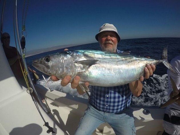 North Atlantic Bonito caught by Stig Anne Svensson  from Sweden Cavalier & Blue Marlin Sport Fishing Gran Canaria