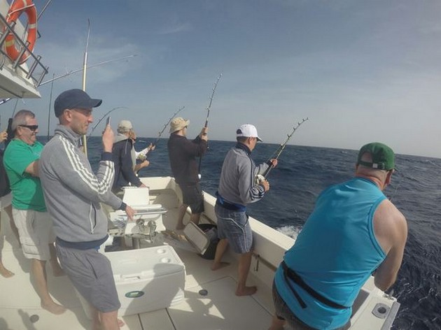 Hooked Up - 5 anglers hooked up at the same time Cavalier & Blue Marlin Sport Fishing Gran Canaria