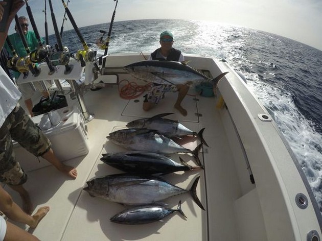 Albacore Tuna Cavalier & Blue Marlin Sport Fishing Gran Canaria