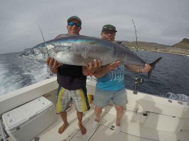 Wahoo, Dorado och massor av Seabreams Cavalier & Blue Marlin Sport Fishing Gran Canaria