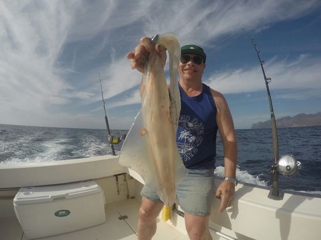 Beetje teleurstellende week Cavalier & Blue Marlin Sport Fishing Gran Canaria