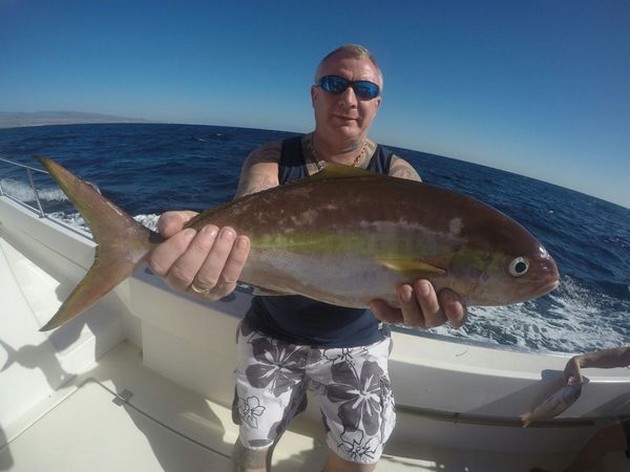 Amberjack Cavalier & Blue Marlin Sport Fishing Gran Canaria